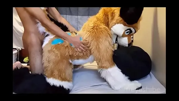 Fresh Furry babe gets fucked doggystyle energy Videos