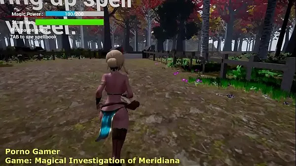 Walkthrough Magical Investigation de Meridiana 1