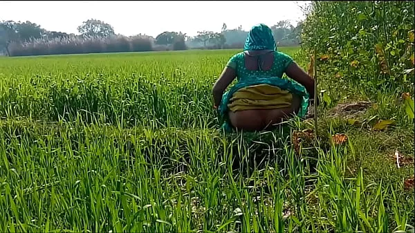Rubbing the country bhaji in the wheat field Video tenaga segar