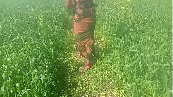 Fresh Wheat Field Rubbing Ke Chod Dehati Video energy Videos