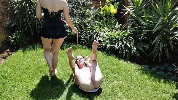 Video về năng lượng Petting my pale bitch as she pisses everywhere outside on the grass | close up pussy | collar leash tươi mới
