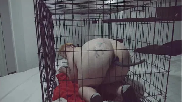 신선한 Violet Coxx FTM Puppy sex 에너지 동영상