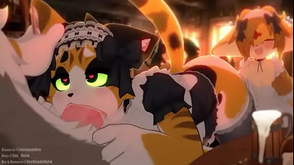 Fresh Calico cat gives out a bj to customer energy Videos